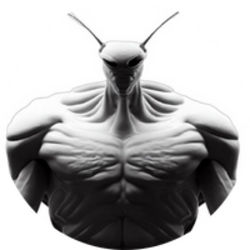 INSECT